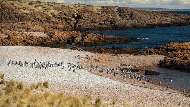Este lugar deja encantado al turismo, debido a las grandes alternativas que ofrece.