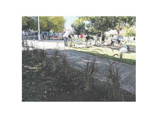 Empresas se involucran con el Día de la Tierra