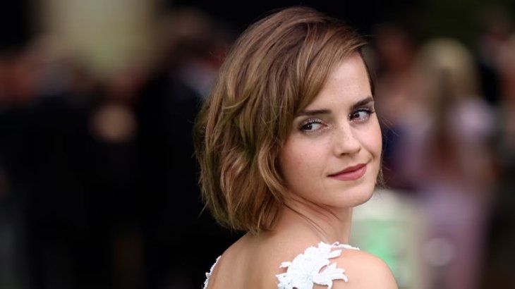 Emma Watson actively supported the #MeToo movement in Hollywood that denounced sexual harassment in the film and television industry.