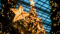 El significado detrás de la estrella de Navidad.&nbsp;