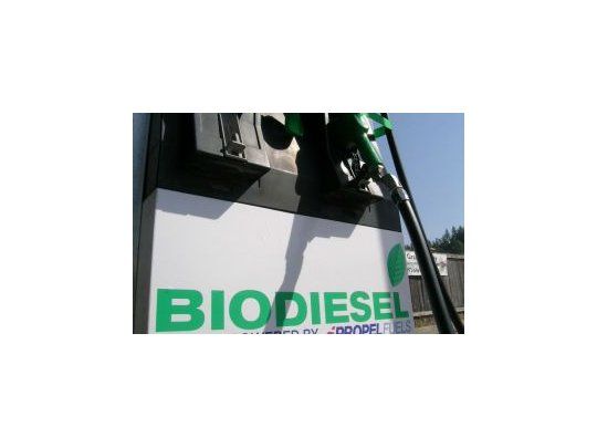 Productores de biodiésel en alarma por fuerte aumento de aranceles en UE
