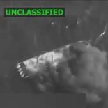 Nuevo ataque de EEUU a una narcolancha Nuevo ataque de EEUU a una narcolancha