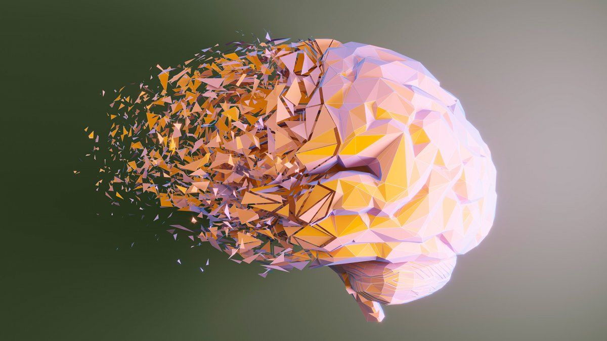 Brain: what should I eat to combat Alzheimer’s Disease