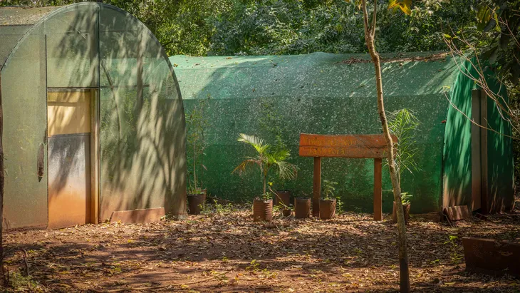 Tourism can enjoy a different experience in this place located in the province of Misiones.