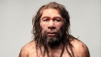Hombre de Neandertal, antecesor del hombre actual.&nbsp;