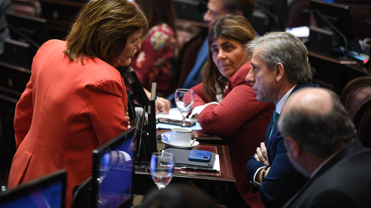 El Gobierno avanzó con el pago a holdouts, pero el Senado frustró su ley de propiedad privada