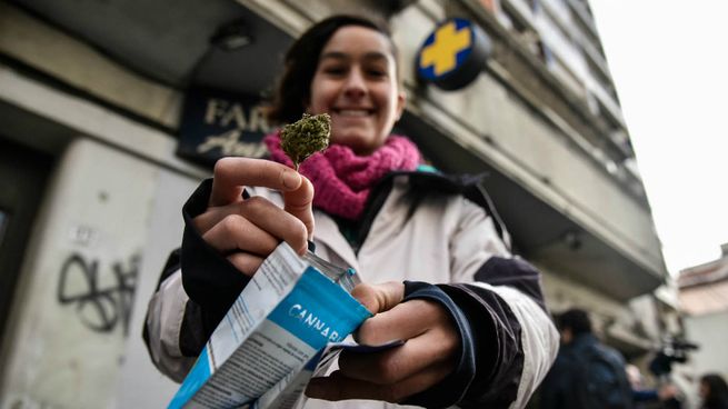 El mercado regulado de cannabis en Uruguay representa ingresos por 30 millones de dólares al año.