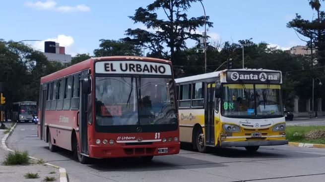 Las provincias tendrán servicio habitual de colectivos.