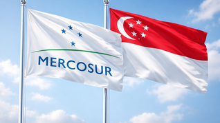 TLC Mercosur–Singapur: Uruguay será el próximo en ponerlo en marcha. TLC Mercosur–Singapur: Uruguay será el próximo en ponerlo en marcha.