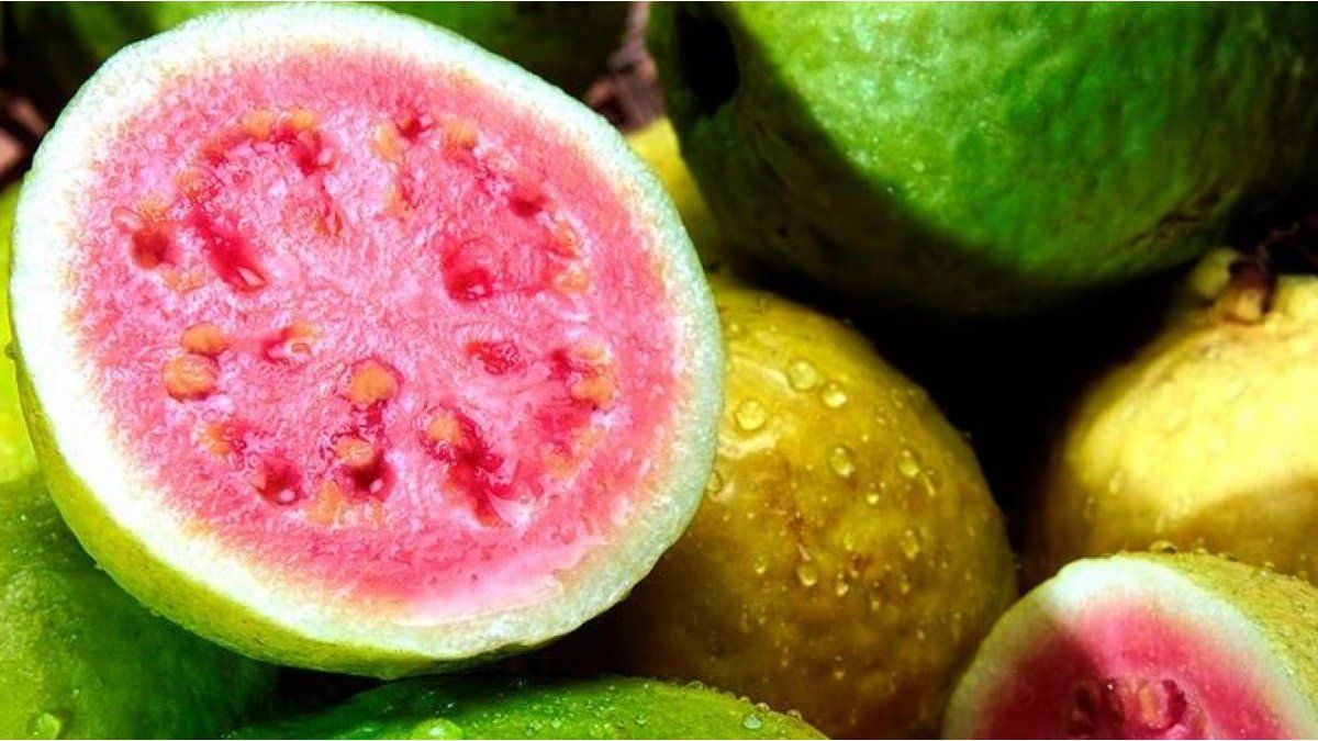 Guayaba: Tropical fruit to strengthen your health