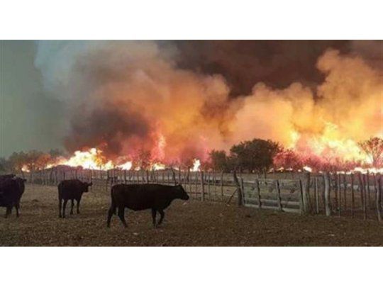Los incendios en Mendoza arrasaron ya 120 mil hectáreas