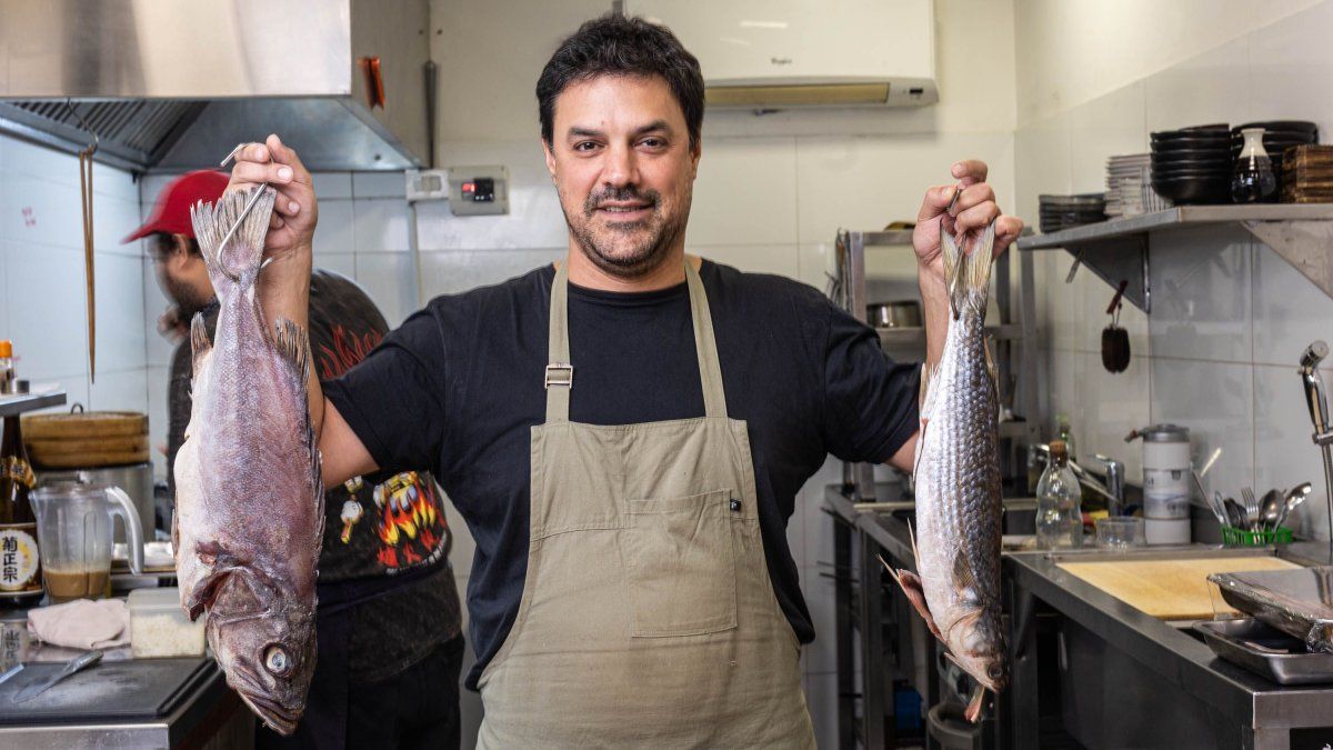 The first Omakase bar in the city: unique for revaluing national fishing in all its pieces