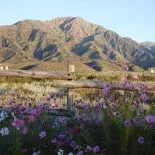 Este lugar tiene varios aspectos que lo destacan, pero uno de ellos lo hizo llevarse un merecido reconocimiento. Este lugar tiene varios aspectos que lo destacan, pero uno de ellos lo hizo llevarse un merecido reconocimiento.
