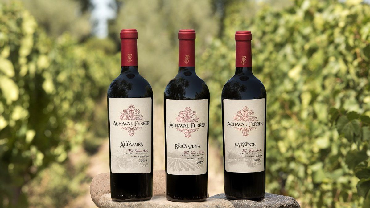 Achaval Ferrer lanza colección de tres Malbec, con el terroir de sus fincas centenarias
