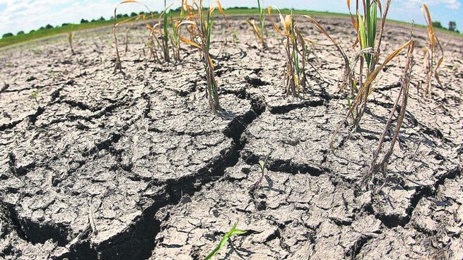 Uruguay se enfrenta a la peor sequía del último siglo.