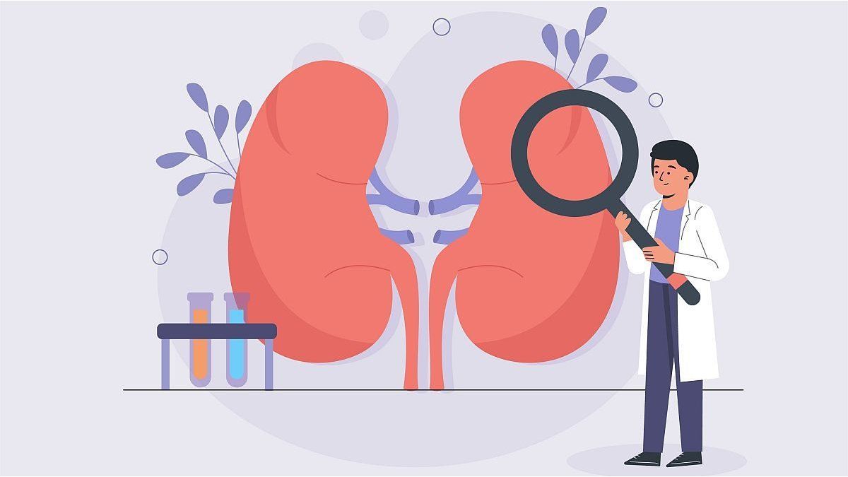 International Kidney Day: What do we know and don’t know about this important organ?