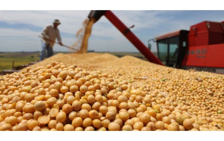 Los complejos del agro lideran las exportaciones argentinas. Los complejos del agro lideran las exportaciones argentinas.