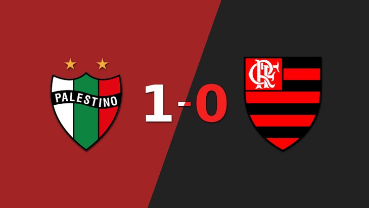 Apretada victoria de Palestino frente a Flamengo