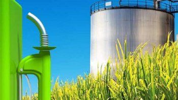 productores de biodiesel denuncian extorsion oficial por subsidios