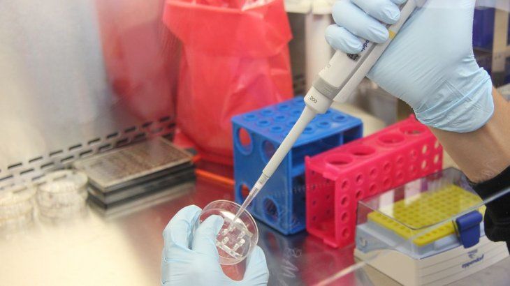 The phase 1 clinical trial is part of a series of investigations that are being carried out around the world in search of an alternative against this type of tumor. The phase 1 clinical trial is part of a series of investigations that are being carried out around the world in search of an alternative against this type of tumor.