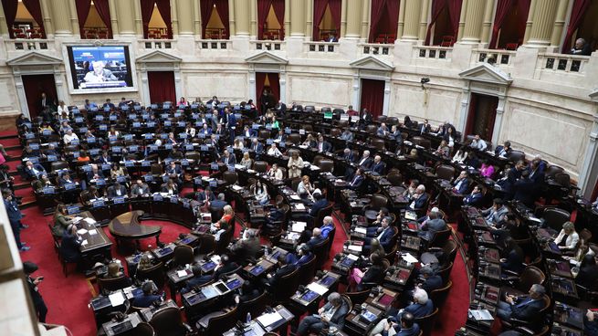 Las universidades públicas nacionales cuestionaron la postura tomada por los diputados que respaldaron el veto de Javier Milei.&nbsp;