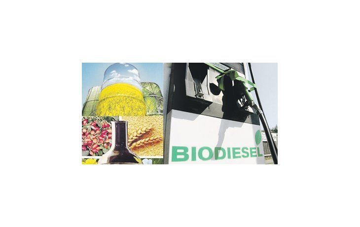 El crecimiento de la producción mundial de biodiésel comineza a debilitarse por los precios récord de la soja, que hacen poco atractivo el negocio del biocombustible.
