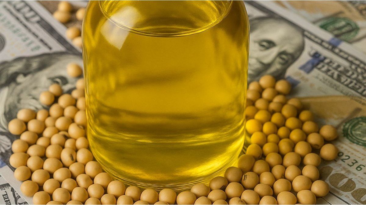 India bought a record volume of soybean oil after the decline in retentions