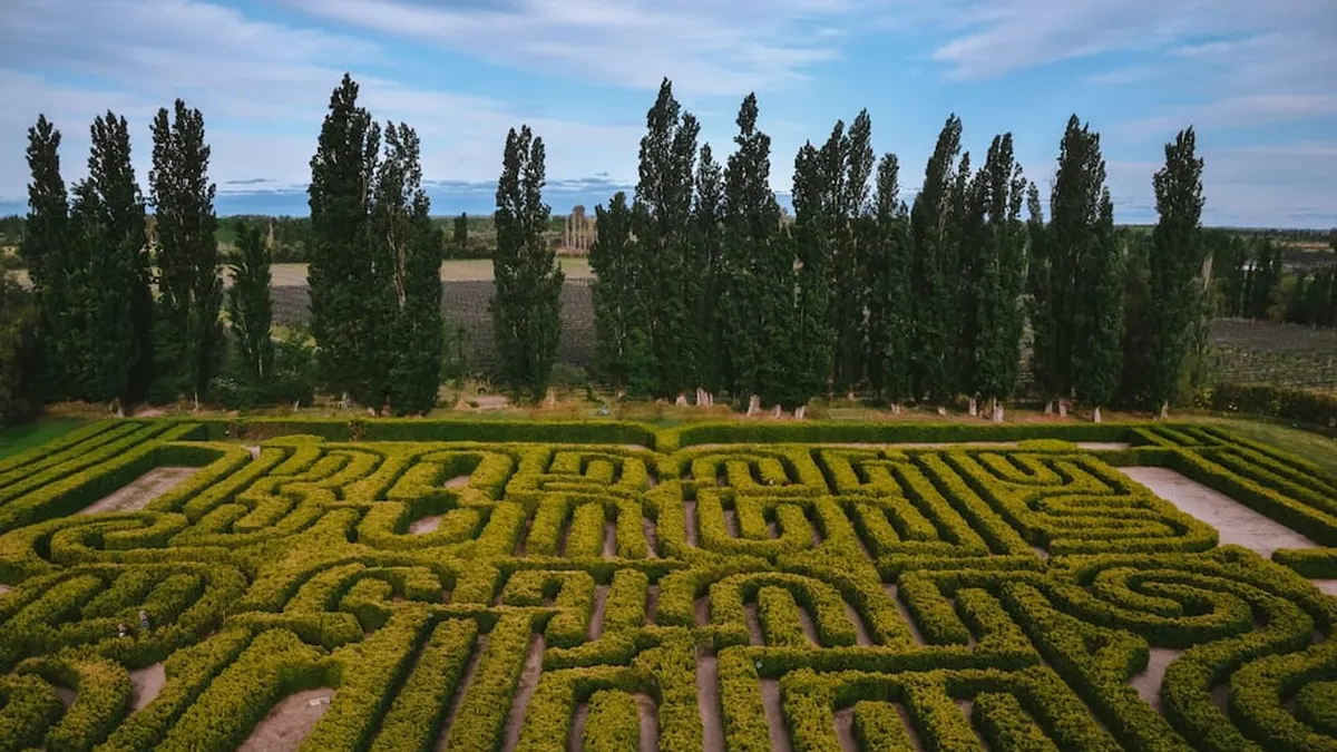 Ideal for winter holidays: Mendoza’s surprising site for different tourism
