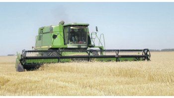 Trigo. La cosecha está en marcha en la Argentina. Hasta el 21 de noviembre deben embarcarse 431 mil toneladas del cereal.