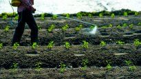 Desde inoculantes bacterianos hasta bioestimulantes y bioinsecticidas, la paleta de productos se diversifica y gana terreno.&nbsp;