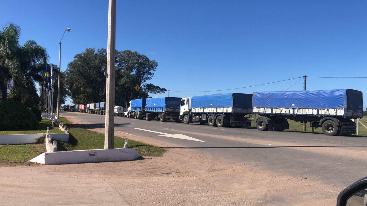 Transporters warn of lower efficiency in operations due to the good soybean harvest