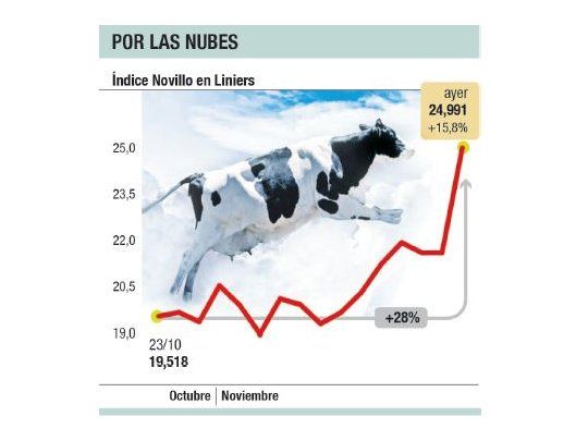 La carne en Liniers trepó un 28% desde 25-0 (esperan más subas)