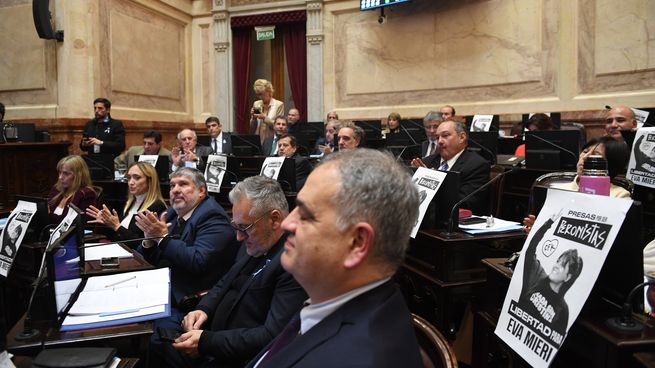 El peronismo aportó la totalidad de sus 34 votos para todos los proyectos.