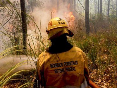 Incendios forestales: preocupación por el avance del fuego en Córdoba