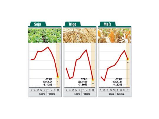 Malo para Argentina: soja se desplomó 5%