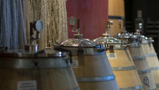 El Gobierno avanzó otro paso en la desregulación de la industria del vino. El Gobierno avanzó otro paso en la desregulación de la industria del vino.