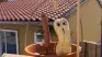 The Sausage Party returns in series format. 