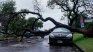 The storm of Santa Rosa hit hard both in the city of Buenos Aires and in the AMBA and the center of the country. The storm of Santa Rosa hit hard both in the city of Buenos Aires and in the AMBA and the center of the country.