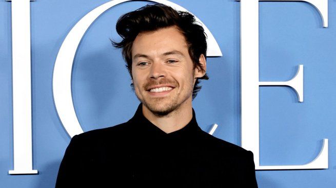 Harry Styles launches a new range of sex toys with its “pleasing” brand