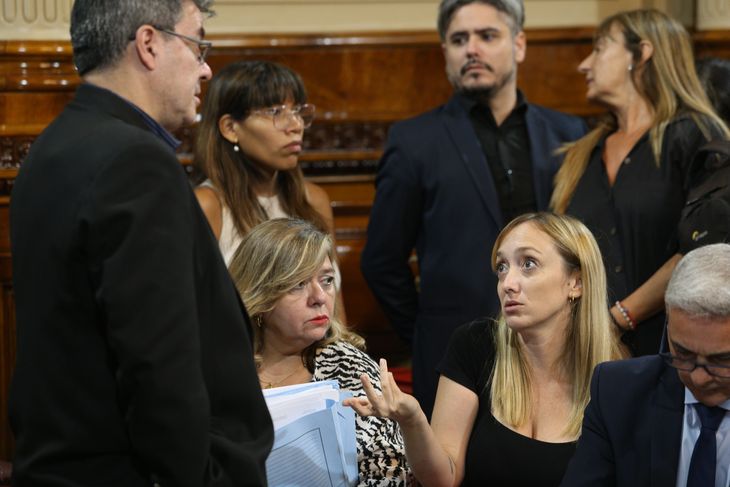 Las senadoras González y Fernández Sagasti junto al diputado Gutiérrez, miembros peronistas de la Bicameral. Parado, el presidente del bloque de diputados de Unión por la Patria, Germán Martínez.