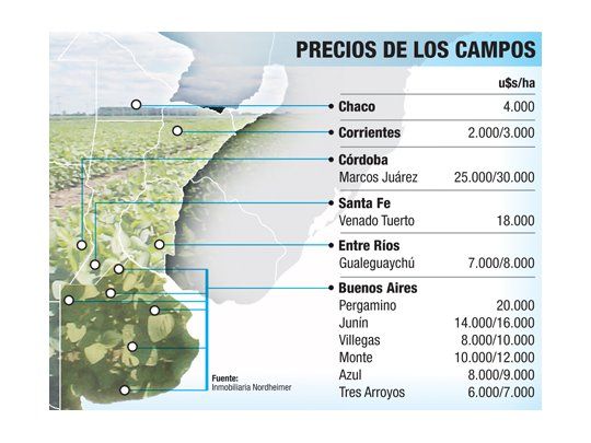 Parálisis también afecta compra y alquiler de campos