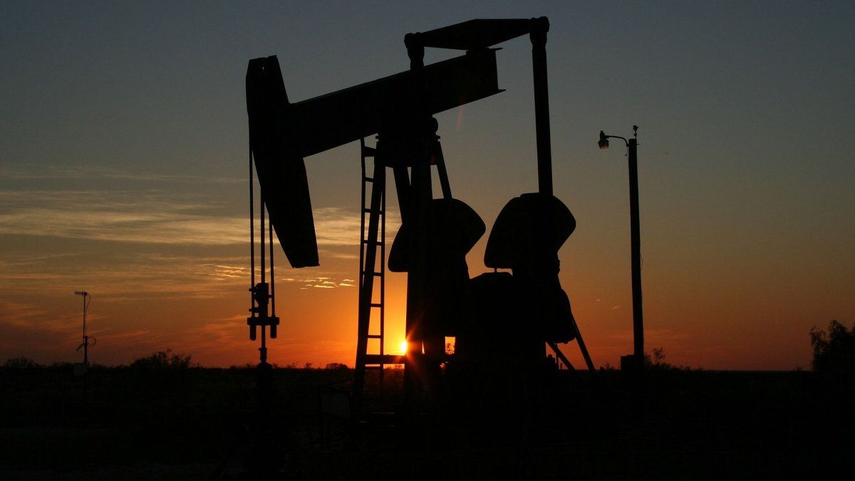 The price of oil recovered 1.1%, after the collapse of last week