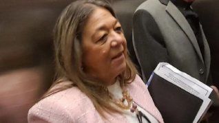 La presentación fue realizada ante la Agencia de Recaudación y Control Aduanero (ARCA). La presentación fue realizada ante la Agencia de Recaudación y Control Aduanero (ARCA).