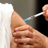 Abrieron una convocatoria para mayores de 45 años para evaluar la vacuna contra el Dengue. Abrieron una convocatoria para mayores de 45 años para evaluar la vacuna contra el Dengue.