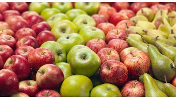 CAME analizó los precios de la manzana:&nbsp;el consumidor pagó 12,6 veces más de lo que percibió el productor