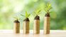 139 investors from various countries bet on the Uruguayan green bond. 139 investors from various countries bet on the Uruguayan green bond.