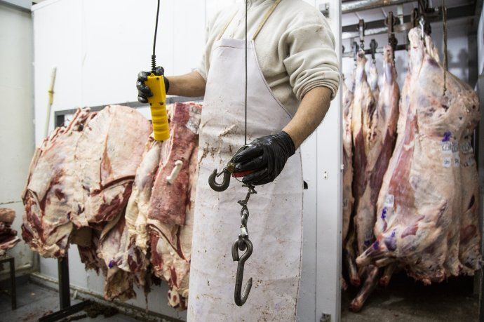 El Gobierno flexibilizaría las exportaciones de carne vacuna
