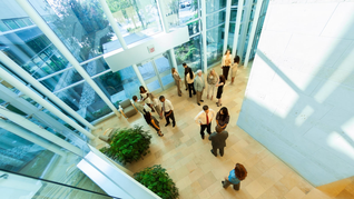 Montevideo lidera el mercado de oficinas en la región con baja vacancia y precios de alquileres récord. Montevideo lidera el mercado de oficinas en la región con baja vacancia y precios de alquileres récord.