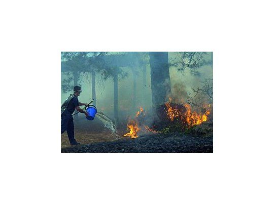 Nuevos incendios forestales en Córdoba