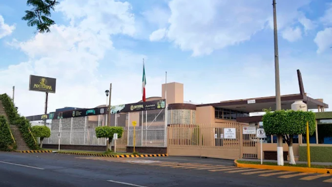 Nacieron en Michoacán, comenzaron cocinando tablillas de chocolates artesanales y ahora son un poderoso imperio con 14 productos que se venden en todo México